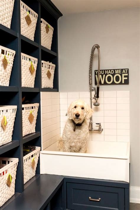 diy dog bath station - Benedict Barham