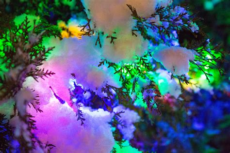 Christmas Outdoor Lights Free Stock Photo - Public Domain Pictures