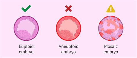 Difference between healthy, altered and mosaic embryos