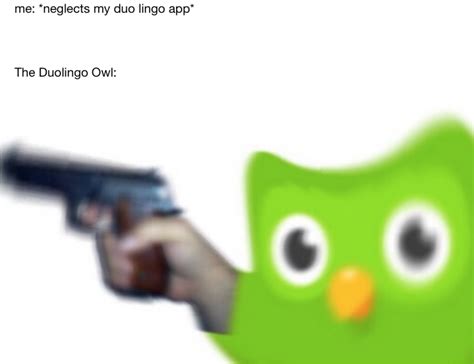 me: *neglects my duo lingo app* | Evil Duolingo Owl | Know Your Meme