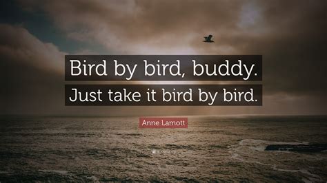 Anne Lamott Quote: “Bird by bird, buddy. Just take it bird by bird.”