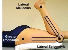 Knee Anatomy