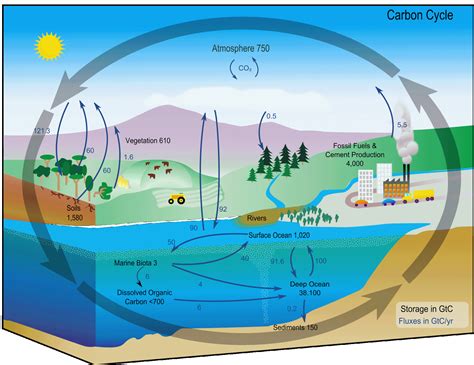 Washington Department of Ecology: Let’s Talk Science! Cycle through our Ecology for Scientists ...