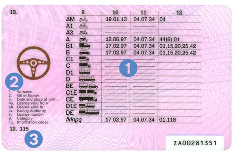 Licence Categories, What Licence Do You Need