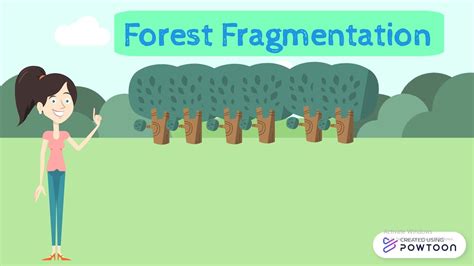 Forest Fragmentation: Its Causes, Effects, and Possible Solutions - YouTube