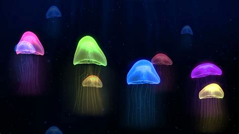 Deep Sea Jellyfish Wallpaper