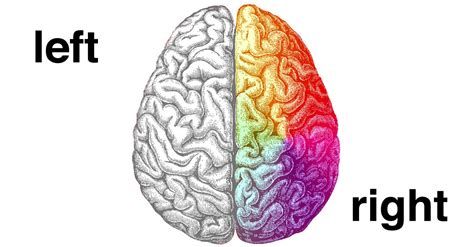 Creativity Isn’t Right-Brain or Left-Brain — It’s Whole Brain