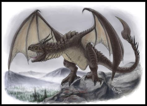 Wyvern by CamusAltamirano on DeviantArt