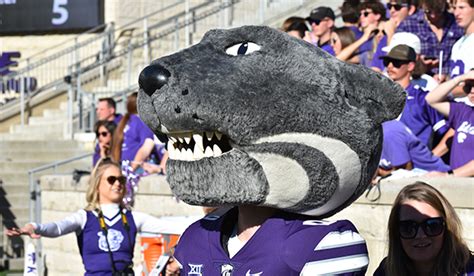 Top 5 reasons we think Willie the Wildcat is the best mascot | K-State Alumni Association