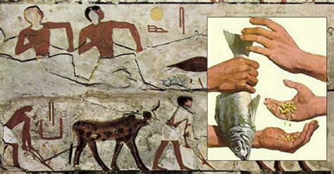 Ancient Egypt Economy | modernalternativemama.com