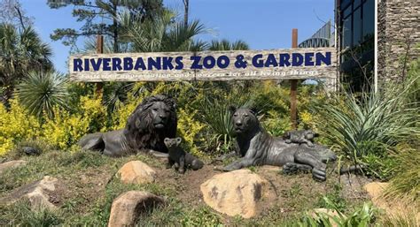 Explore SC: A Mom's Look At the Riverbanks Zoo