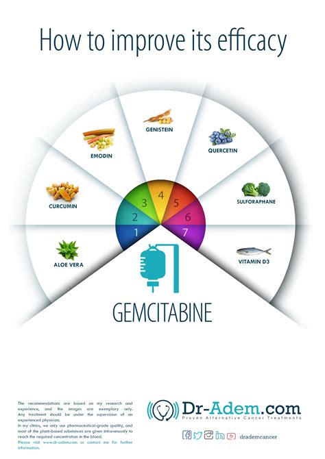 Gemcitabine – How To Increase The Efficacy – Dr. Adem