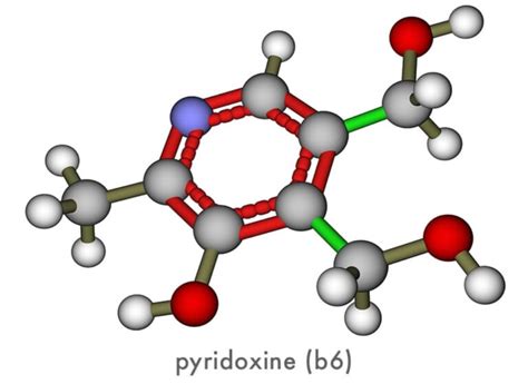 PYRIDOXINE - Neuroneeds