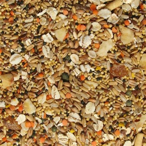 Tidymix Budgie Food High Quality Seed Blend Mix 2.3Kg | Budgies, Seeds, Budgie food