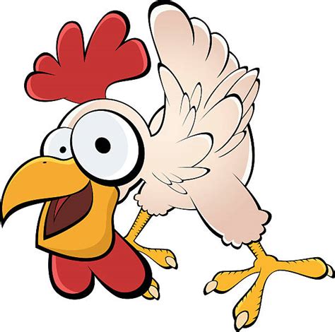 Funny Chicken Illustrations, Royalty-Free Vector Graphics & Clip Art - iStock