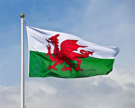 How to say Happy St David's Day in Welsh, and why it's on 1 March