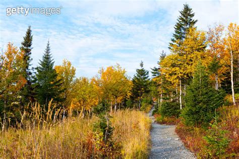 Hiking trail through colorful autumn forest, fall landscape 이미지 ...