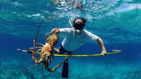 Hawaiian Sling vs Pole Spear: What's the Difference? - Scuba.com