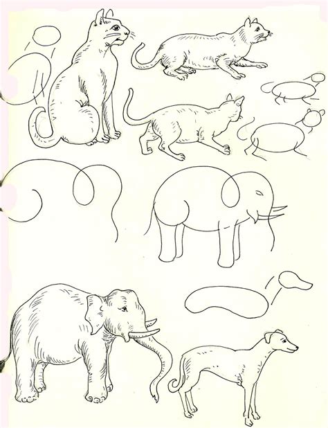 studentsdrawing: ANIMAL STEP BY STEP EASY OUTLINE DRAWING-ELEPHANT-CAT-DOG