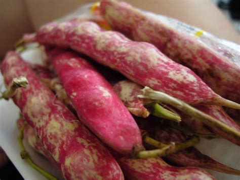 A nameless pink beans for soups – Food, travel, recipe & sights