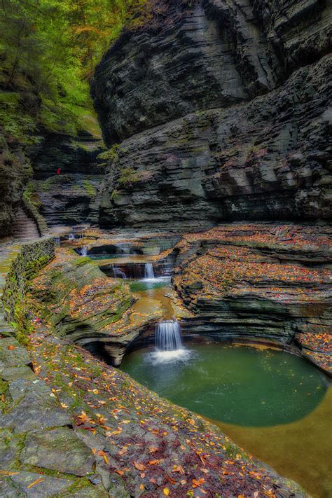 WaterFalls AT Watkins Glen State Park Photograph by Susan Candelario