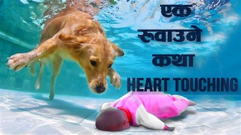 10 Promises to my Dog Movie Explained in Nepali Raat ki Rani Heart Touching Dog Movie - YouTube