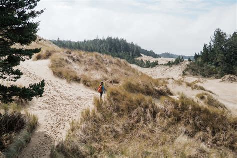 Everything You Need To Know About Sand Dunes of Oregon - That One ...