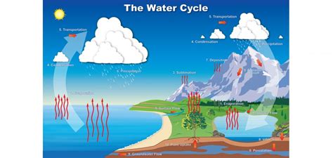 NOAA's Water Cycle Resource Collection | Image: Water moves through ...