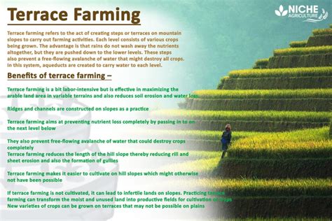 Terrace Farming - Agricultural Practice in Hilly Regions