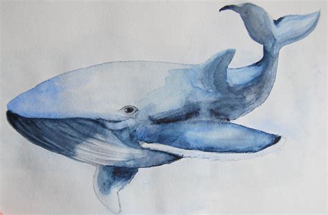 кит, акварель | Whale art, Watercolor whale, Watercolor art diy