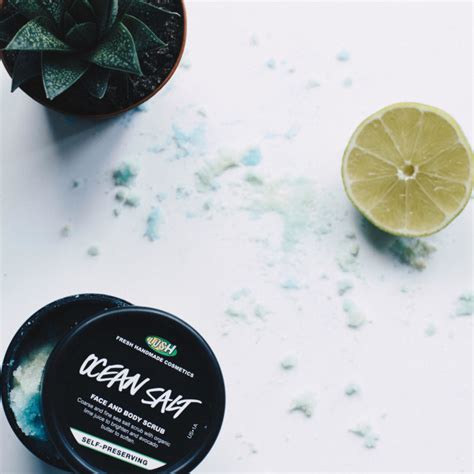 THE GIRLFRIEND'S GUIDE TO LUSH COSMETICS • Life Lutzurious