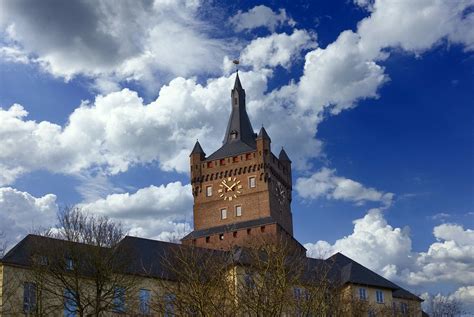 Kleve Swan Castle Germany - Free photo on Pixabay - Pixabay