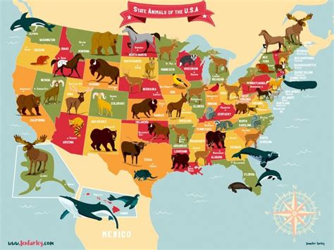 Map of USA Showing State Animals or Birds by Jennifer Farley - Light ...