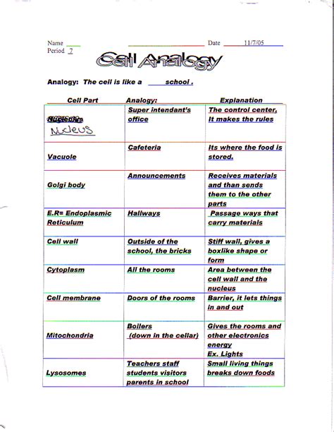 Animal Cell City Analogy