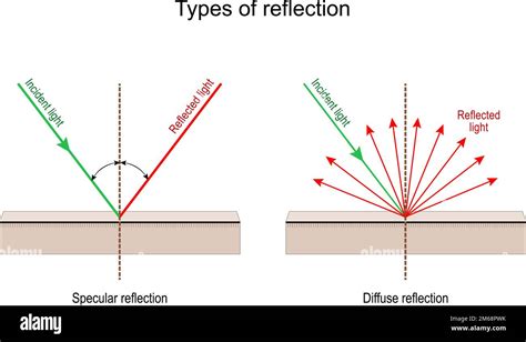 Types of reflection. Specular and Diffuse reflection. Incident light and Reflected rays. Vector ...