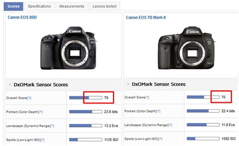 No Canon 7D Mark III in 2018 ? « NEW CAMERA