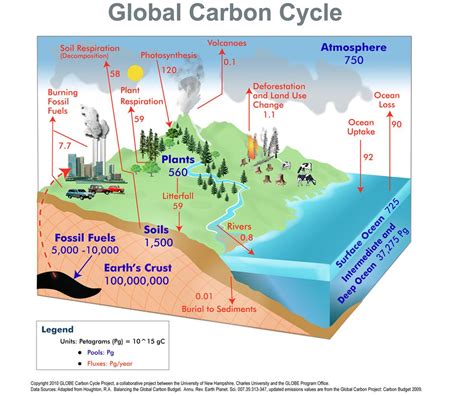 volcanology - How did $\text{CO}_2$ originate on Earth before there was ...