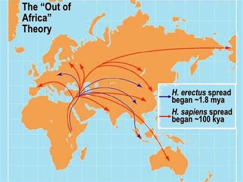 Image result for out of africa theory | Out of africa, Theories