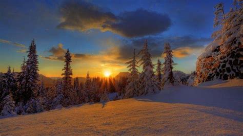 trees, Winter, Snow, Sunlight, Clouds Wallpapers HD / Desktop and Mobile Backgrounds