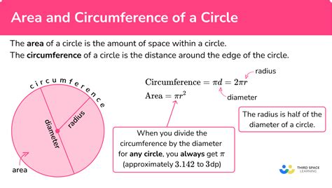 Area And Circumference Of A Circle - GCSE Maths Guide