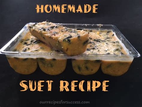 Suet Blocks For Wild Birds Recipe | Besto Blog