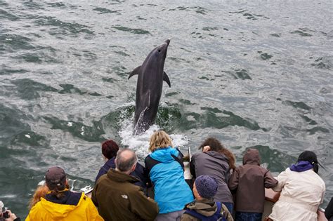 Explore Kilrush and Scattery Island Car-Free with Discover Ireland