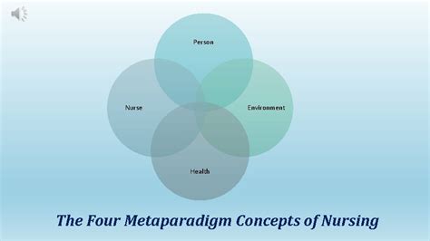 The Four Metaparadigm Concepts Related to Ida Orlandos