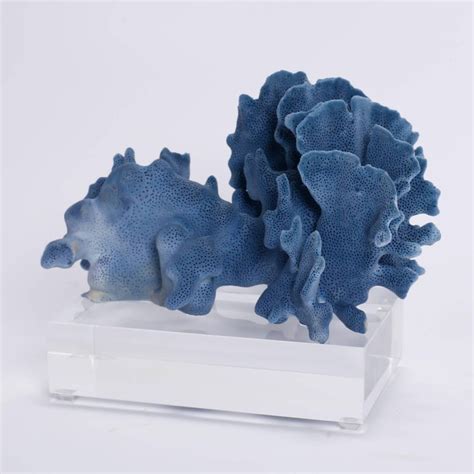 Blue Coral Sculptures on Lucite, Priced Individually at 1stDibs