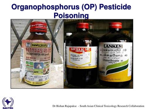 PPT - Organophosphate Pesticide Poisoning PowerPoint Presentation - ID:321279