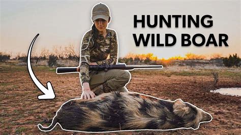 HOG HUNTING IN TEXAS * WILD PIGS EVERYWHERE * - YouTube