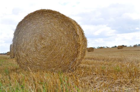 Hay bales 12 Free Photo Download | FreeImages