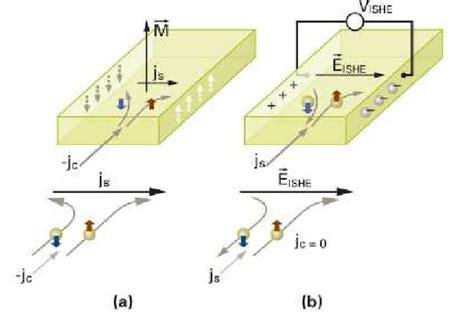 Schematic illustration of the (a) spin Hall effect (SHE) and (b ...