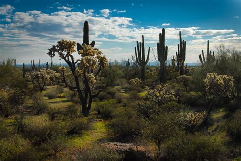 Arizona Desert Landscape Free Stock Photo - Public Domain Pictures