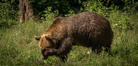 Romania rural tourism - Discover untamed and beautiful nature